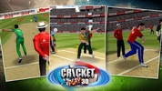 Cricket Play 3D: Live The Game screenshot 5