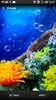 Coral Reef Live Wallpaper screenshot 6