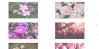 Puzzle Flowers screenshot 7