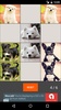 Puppy Photo Memory Game screenshot 3