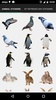 Real Animals Photo Stickers screenshot 3