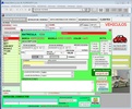 Visual Rent a Car® screenshot 5