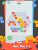 Hex Puzzle - Super fun screenshot 6