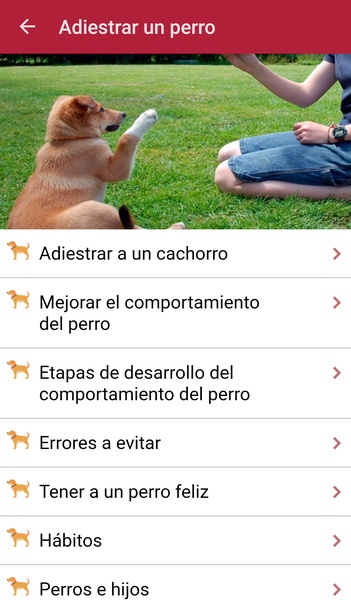 Como adiestrar un perro - Preview 4