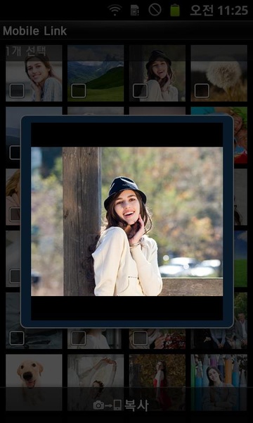 MobileLink - Preview 1