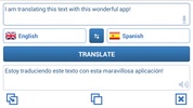Translator screenshot 1