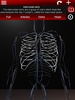 Circulatory System in 3D (Anatomy) screenshot 12