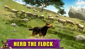 Shepherd Dog Simulator 3D screenshot 4
