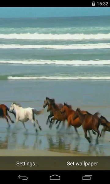 Amazing horses - Preview 3