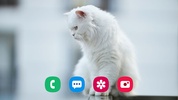 Cat Wallpaper screenshot 3