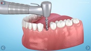 Dental 3D Illustrations screenshot 6