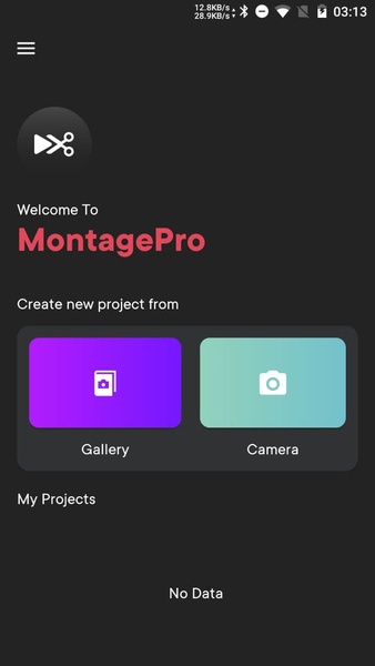 MontagePro - Preview 4