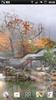 Misty Chinese Garden Wallpaper screenshot 5