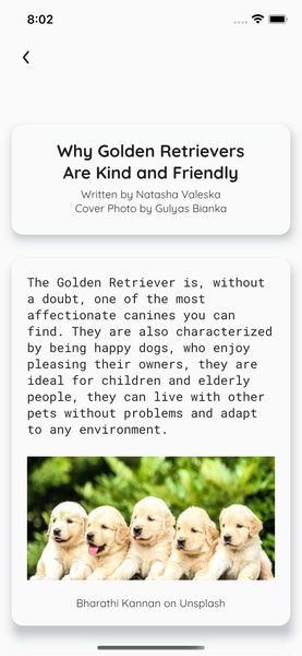DoggoTheLove - Preview 13