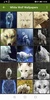 White Wolf Wallpapers screenshot 2
