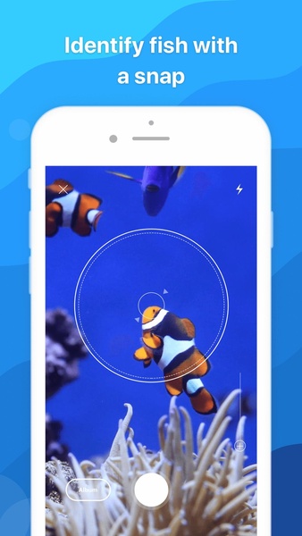 Picture Fish - Fish Identifier - Preview 4