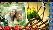 Love Birds Photo Frames screenshot 5