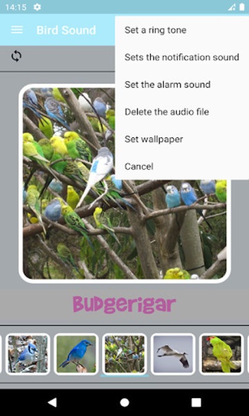 Bird Sounds - Preview 1
