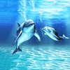 Sea Dolphin Live Wallpaper screenshot 3