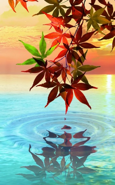 Water Drop. Flowers and Leaves. - Preview 2
