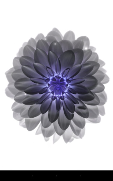 Galaxy Flower - Preview 3