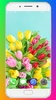 Tulip Wallpaper HD screenshot 1
