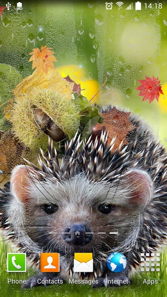 Autumn Live Wallpaper - Preview 7