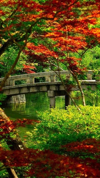 Garden Live Wallpaper - Preview 3