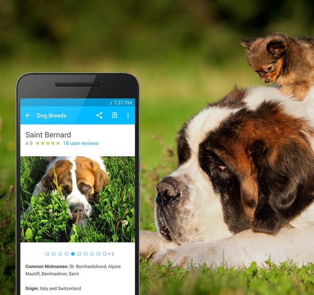 Pet Breeds - Preview 5