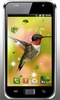 Colibri Spring 3D LWP screenshot 2