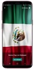 Mexico screenshot 3
