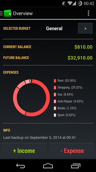 Pocket Budget - Preview 6