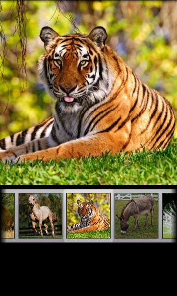 Animal Sounds & Ringtones - Preview 3