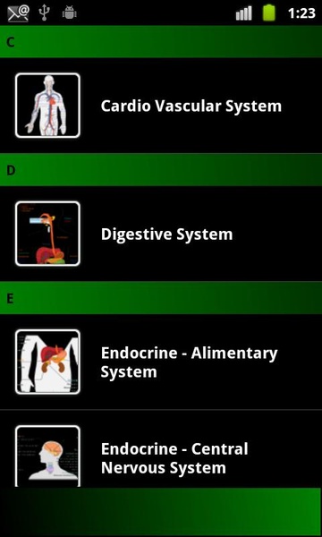 Human Anatomy (Spotting) - Preview 8