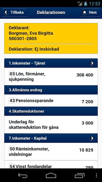 Skatteverket - Preview 6