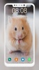 Cute Hamster Wallpapers screenshot 4
