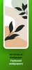 Sage green wallpaper screenshot 8