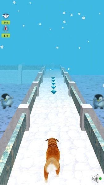 Temple Dog Run - Preview 3