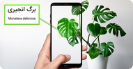 گل بین screenshot 1