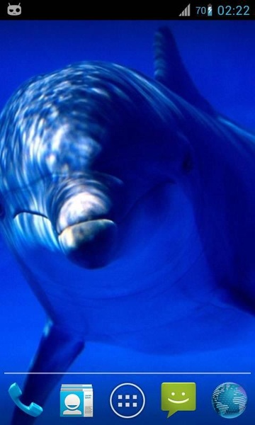 Magic Ripple Cute Dolphin - Preview 3