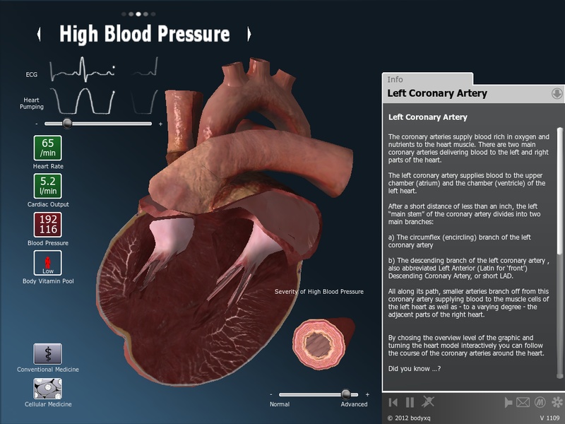 bodyxq heart - Preview 6