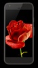Blooming Rose Video Wallpaper screenshot 2