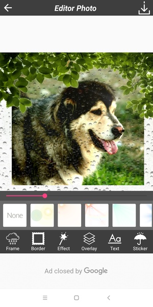 Rain Photography - Preview 5