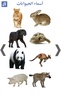 تعليم أسماء الحيوانات screenshot 6