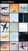 Airplane Wallpapers screenshot 7