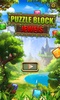 Puzzle Block Jewels screenshot 8