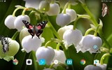 Lily of The Valley Wallpaper screenshot 3