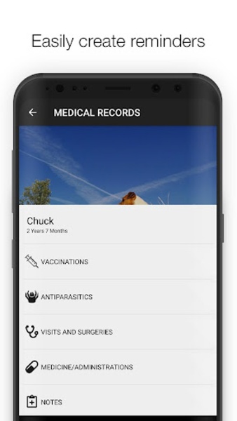 Dog Health - Preview 3