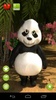 Talking Paul Panda screenshot 3