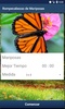 Rompecabezas de Mariposas screenshot 2